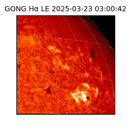 gong - 2025-03-23T03:00:42