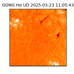 gong - 2025-03-23T11:05:43