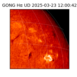 gong - 2025-03-23T12:00:42