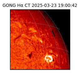 gong - 2025-03-23T19:00:42