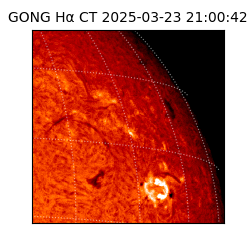 gong - 2025-03-23T21:00:42