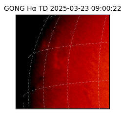 gong - 2025-03-23T09:00:22