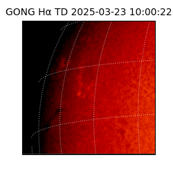 gong - 2025-03-23T10:00:22