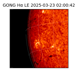gong - 2025-03-23T02:00:42