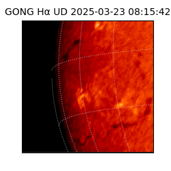 gong - 2025-03-23T08:15:42