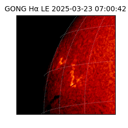 gong - 2025-03-23T07:00:42