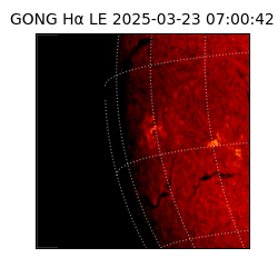 gong - 2025-03-23T07:00:42