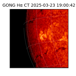 gong - 2025-03-23T19:00:42