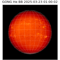 gong - 2025-03-23T01:00:02