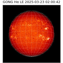 gong - 2025-03-23T02:00:42