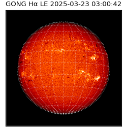 gong - 2025-03-23T03:00:42