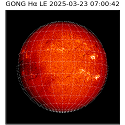 gong - 2025-03-23T07:00:42