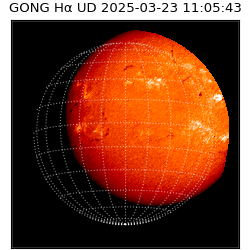 gong - 2025-03-23T11:05:43