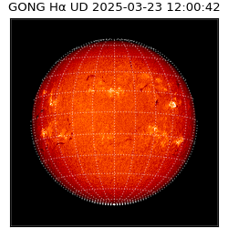 gong - 2025-03-23T12:00:42