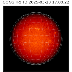 gong - 2025-03-23T17:00:22
