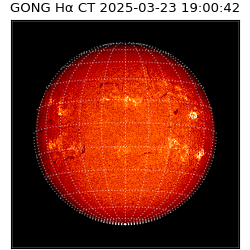 gong - 2025-03-23T19:00:42
