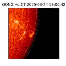 gong - 2025-03-24T19:00:42