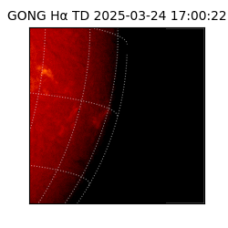 gong - 2025-03-24T17:00:22