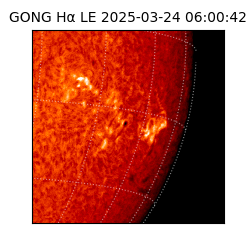 gong - 2025-03-24T06:00:42