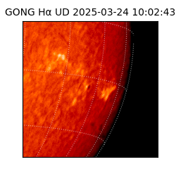 gong - 2025-03-24T10:02:43