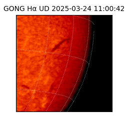 gong - 2025-03-24T11:00:42