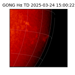 gong - 2025-03-24T15:00:22