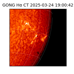 gong - 2025-03-24T19:00:42