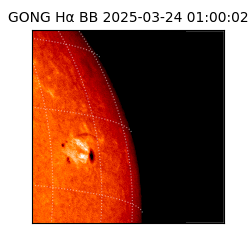 gong - 2025-03-24T01:00:02