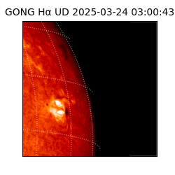 gong - 2025-03-24T03:00:43