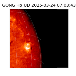 gong - 2025-03-24T07:03:43