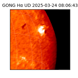 gong - 2025-03-24T08:06:43