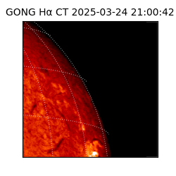 gong - 2025-03-24T21:00:42
