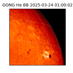 gong - 2025-03-24T01:00:02
