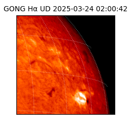 gong - 2025-03-24T02:00:42