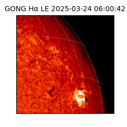 gong - 2025-03-24T06:00:42