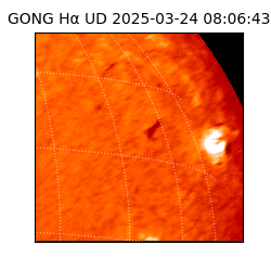 gong - 2025-03-24T08:06:43