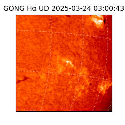 gong - 2025-03-24T03:00:43