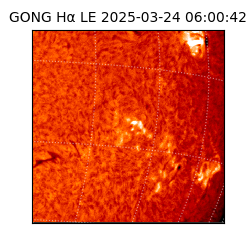 gong - 2025-03-24T06:00:42