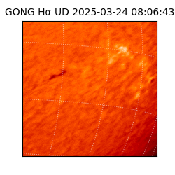 gong - 2025-03-24T08:06:43