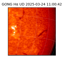gong - 2025-03-24T11:00:42