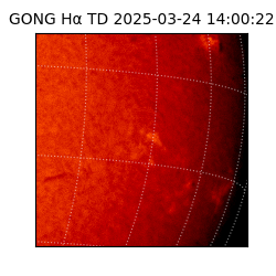 gong - 2025-03-24T14:00:22
