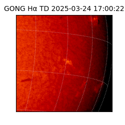 gong - 2025-03-24T17:00:22