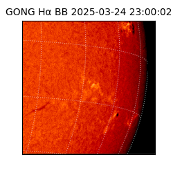gong - 2025-03-24T23:00:02