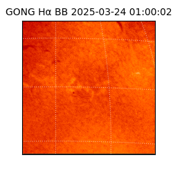 gong - 2025-03-24T01:00:02