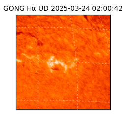 gong - 2025-03-24T02:00:42