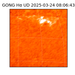 gong - 2025-03-24T08:06:43