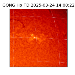 gong - 2025-03-24T14:00:22