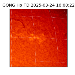 gong - 2025-03-24T16:00:22