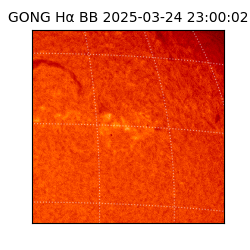 gong - 2025-03-24T23:00:02