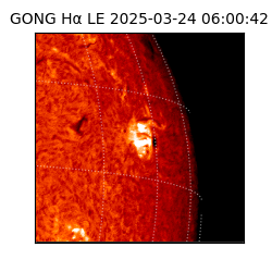 gong - 2025-03-24T06:00:42